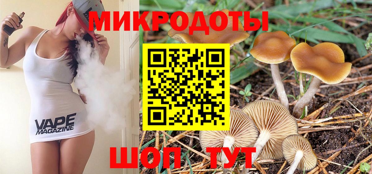 купить закладку  Галлюциногенные грибы MAGIC MUSHROOMS  Новомосковск  Вход с VPN  Галлюциногенные грибы прущие грибы 